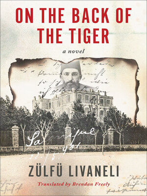 cover image of On the Back of the Tiger
